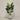 Desginers Collection-Artificial Strelitzia With Pot-Bloomr