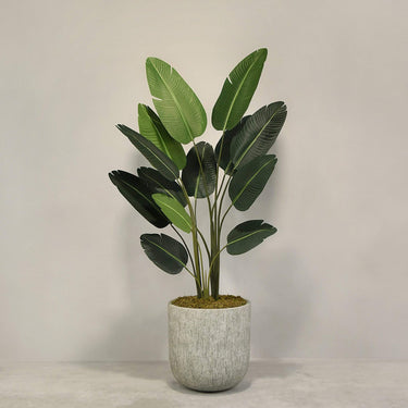 Desginers Collection-Artificial Strelitzia With Pot-Bloomr