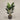 Desginers Collection-Artificial Strelitzia With Pot-Bloomr