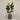 Desginers Collection-Artificial Strelitzia With Pot-Bloomr