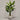 Desginers Collection-Artificial Travelers Palm with Pot-Bloomr