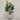 Desginers Collection-Artificial Strelitzia With Pot-Bloomr