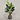 Desginers Collection-Artificial Strelitzia With Pot-Bloomr