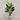 Desginers Collection-Artificial Strelitzia With Pot-Bloomr