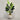 Desginers Collection-Artificial Strelitzia With Pot-Bloomr
