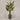 Desginers Collection-Artificial Travelers Palm with Pot-Bloomr