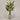 Desginers Collection-Artificial Travelers Palm with Pot-Bloomr