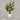 Desginers Collection-Artificial Travelers Palm with Pot-Bloomr