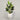 Desginers Collection-Artificial Strelitzia With Pot-Bloomr