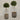 Desginers Collection-Artificial Laurel Tree with Pot-Bloomr