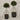 Desginers Collection-Artificial Laurel Tree with Pot-Bloomr
