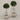 Desginers Collection-Artificial Laurel Tree with Pot-Bloomr