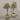 Desginers Collection-Artificial Olive Tree With Pot-Bloomr