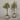 Desginers Collection-Artificial Olive Tree With Pot-Bloomr