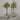 Desginers Collection-Artificial Olive Tree With Pot-Bloomr