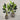 Desginers Collection-Artificial Strelitzia With Pot-Bloomr