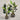 Desginers Collection-Artificial Strelitzia With Pot-Bloomr