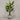 Desginers Collection-Artificial Travelers Palm with Pot-Bloomr