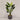 Desginers Collection-Artificial Travelers Palm with Pot-Bloomr