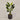 Desginers Collection-Artificial Travelers Palm with Pot-Bloomr