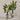Desginers Collection-Artificial Travelers Palm with Pot-Bloomr