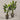 Desginers Collection-Artificial Travelers Palm with Pot-Bloomr