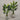 Desginers Collection-Artificial Travelers Palm with Pot-Bloomr