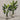 Desginers Collection-Artificial Travelers Palm with Pot-Bloomr
