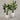 Desginers Collection-Artificial Travelers Palm with Pot-Bloomr