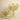 Floral Arrangement-Artificial Kangaroo Paw Arrangement-Bloomr