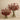 Floral Arrangement-Artificial Kangaroo Paw Arrangement-Bloomr