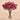 Floral Arrangement-Artificial Magnolia in Glass Vase-Bloomr