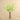 Floral Arrangement-Dancing Orchid Arrangement in Glass Vase-Bloomr