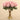 Floral Arrangement-Artificial Protea Arrangement in Glass Vase-Bloomr