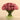 Floral Arrangement-Carnation Arrangement in Glass Vase-Bloomr