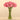Floral Arrangement-Artificial Amaryllis Arrangement in Glass Vase-Bloomr
