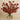 Floral Arrangement-Artificial Kangaroo Paw Arrangement-Bloomr