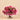 Floral Arrangement-Artificial Magnolia in Glass Vase-Bloomr