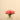 Floral Arrangement-Artificial Rose Arrangement in Glass Vase-Bloomr