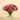 Floral Arrangement-Carnation Arrangement in Glass Vase-Bloomr