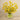 Floral Arrangement-Artificial Kangaroo Paw Arrangement-Bloomr
