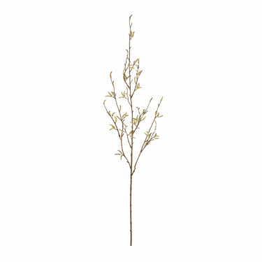 Flowers-Alder Spray-Bloomr