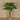 Floral Arrangement-Aralia Leaf Arrangement in Glass Vase-Bloomr