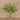 Floral Arrangement-Artificial Fern Arrangement in Glass Vase-Bloomr