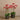 Flowers-Artificial Orchid Arrangement-Bloomr