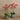 Flowers-Artificial Orchid Arrangement-Bloomr