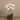 Flowers-Artificial Orchid Arrangement-Bloomr