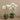 Flowers-Artificial Orchid Arrangement-Bloomr