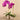 Flowers-Artificial Orchid Arrangement-Bloomr