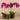 Flowers-Artificial Orchid Arrangement-Bloomr